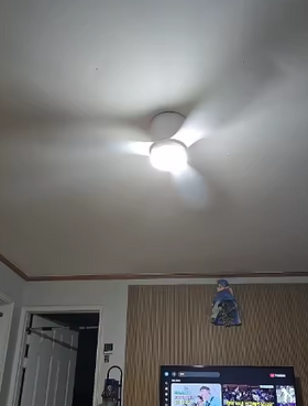Photo client de Ventilateur de Plafonnier LED silencieux