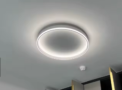 Photo client de Plafonnier LED rond minimaliste Halo
