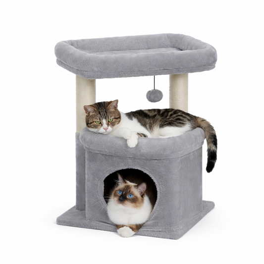 Petit Arbre à Chat avec Condo et Perchoir