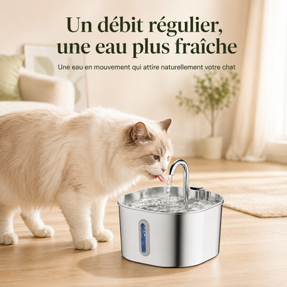 Fontaine à Eau Chat Inox 2,2 L avec Capteur Intelligent et 4 Filtres Inclus