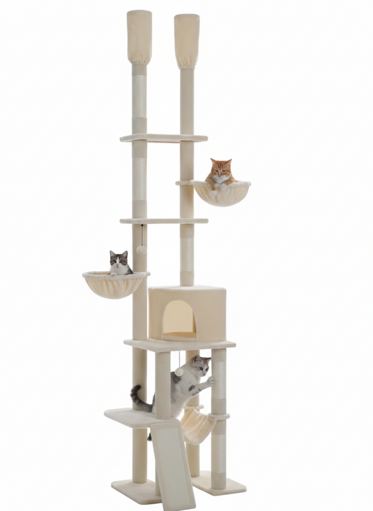 Arbre à Chat XXL du Sol au Plafond avec Condo et Hamacs