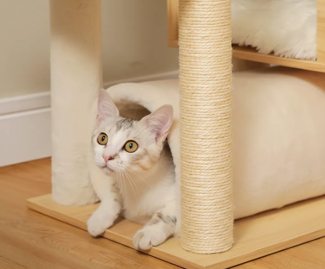Arbre à Chat Réglable du Sol au Plafond avec Hamac