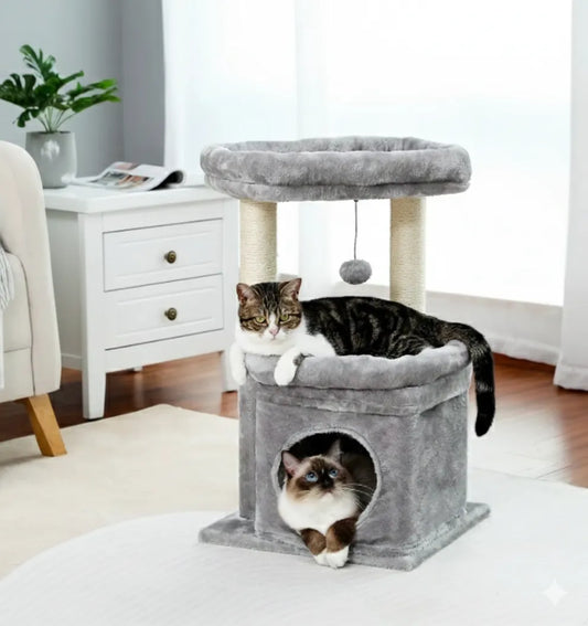 Petit Arbre à Chat avec Condo et Perchoir